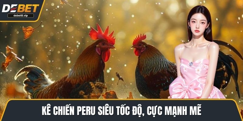 Kê chiến Peru siêu tốc độ, cực mạnh mẽ