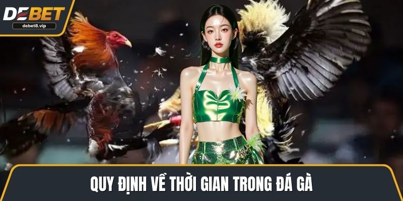 Quy định về thời gian trong đá gà